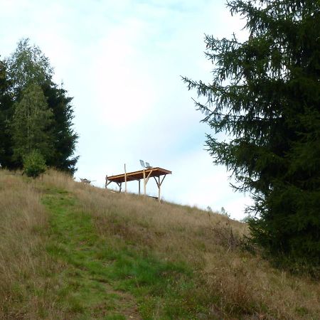 Ein Platz Fuer Ruhe Und Naturgenuss Sebnitz Exteriör bild
