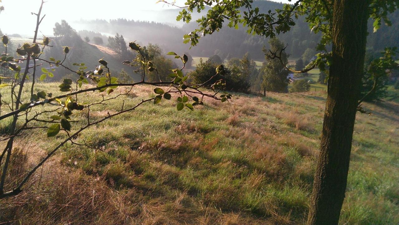 Ein Platz Fuer Ruhe Und Naturgenuss Sebnitz Exteriör bild