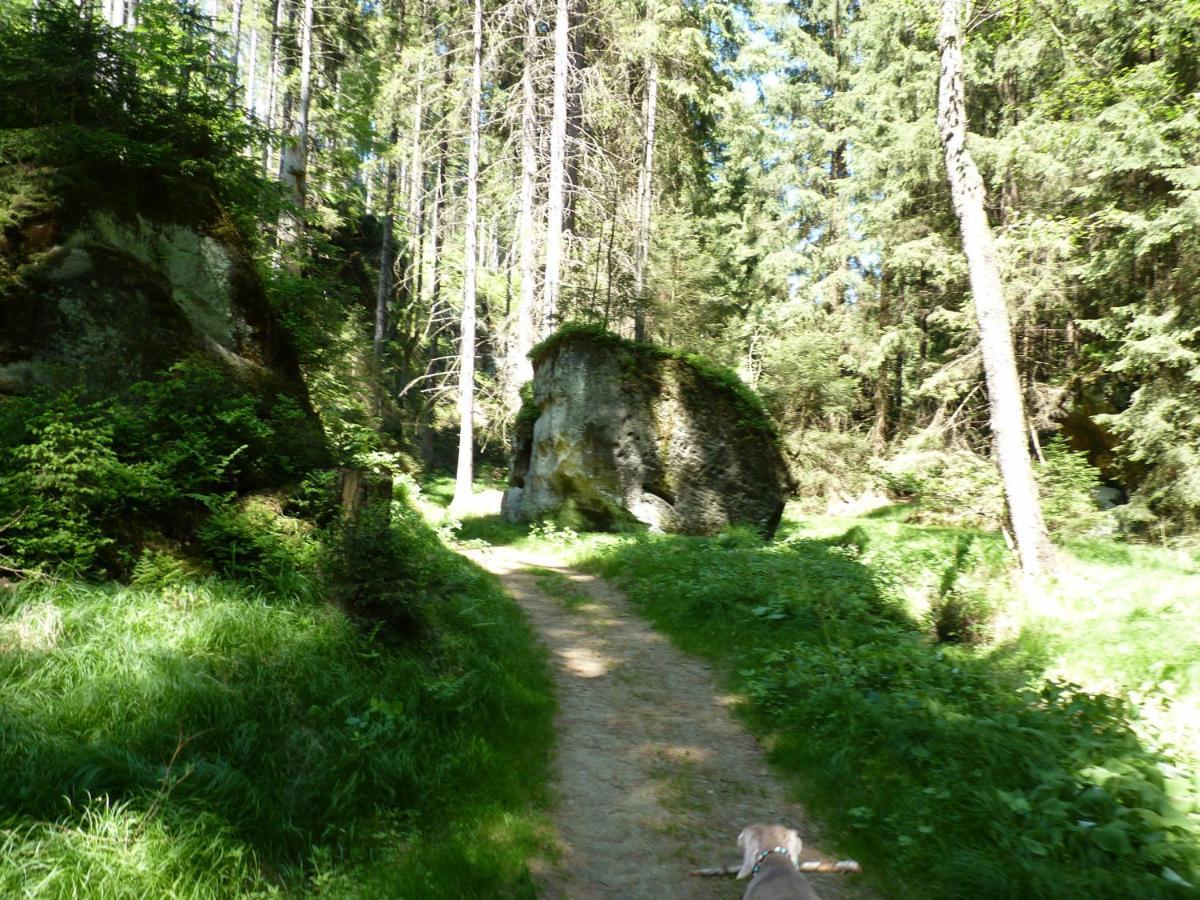 Ein Platz Fuer Ruhe Und Naturgenuss Sebnitz Exteriör bild