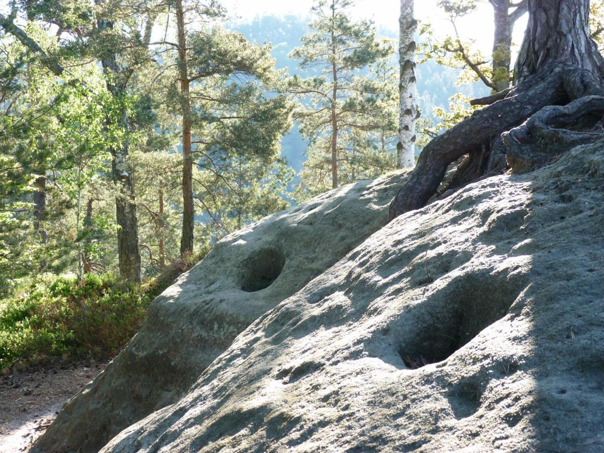 Ein Platz Fuer Ruhe Und Naturgenuss Sebnitz Exteriör bild