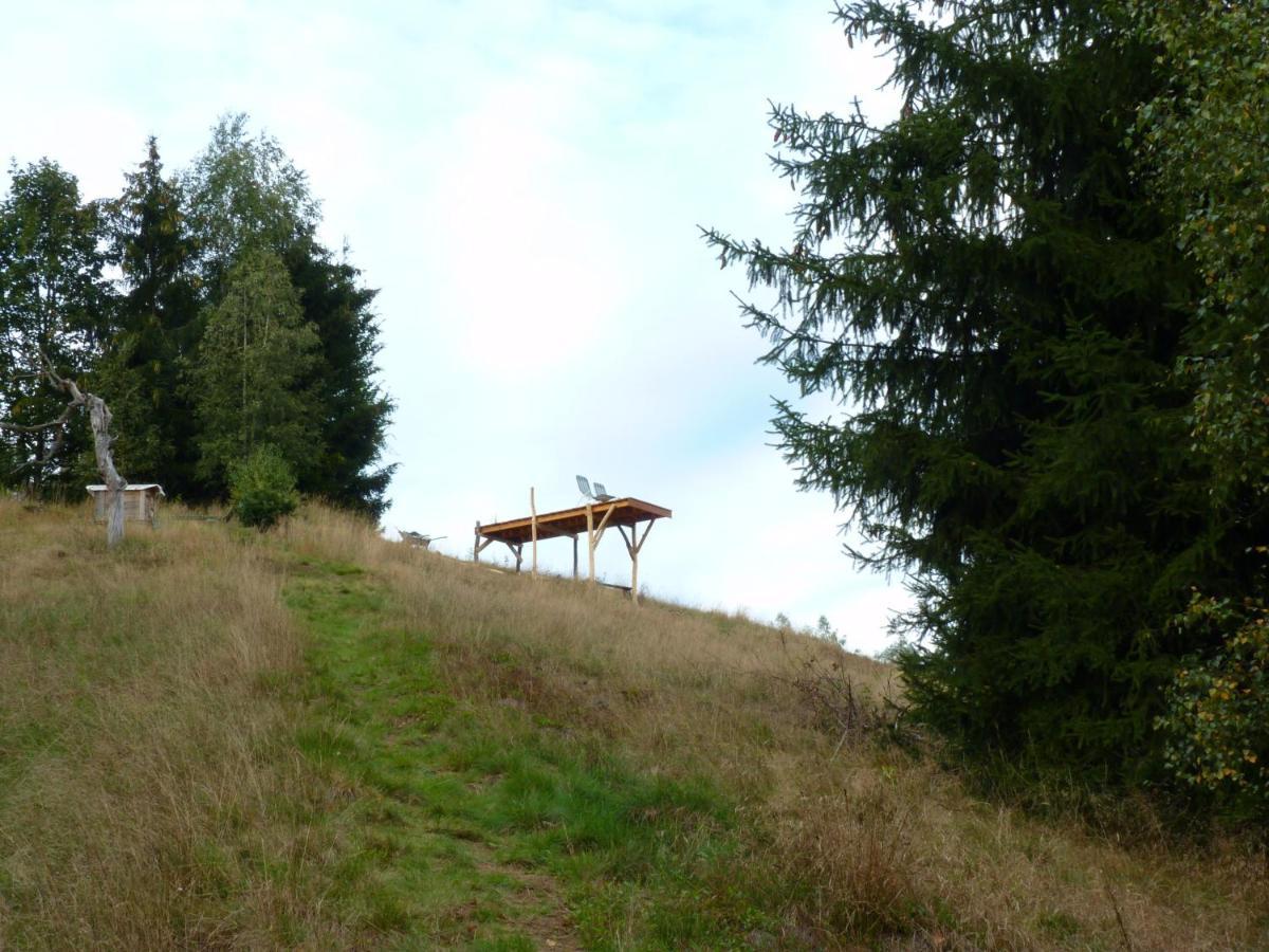 Ein Platz Fuer Ruhe Und Naturgenuss Sebnitz Exteriör bild
