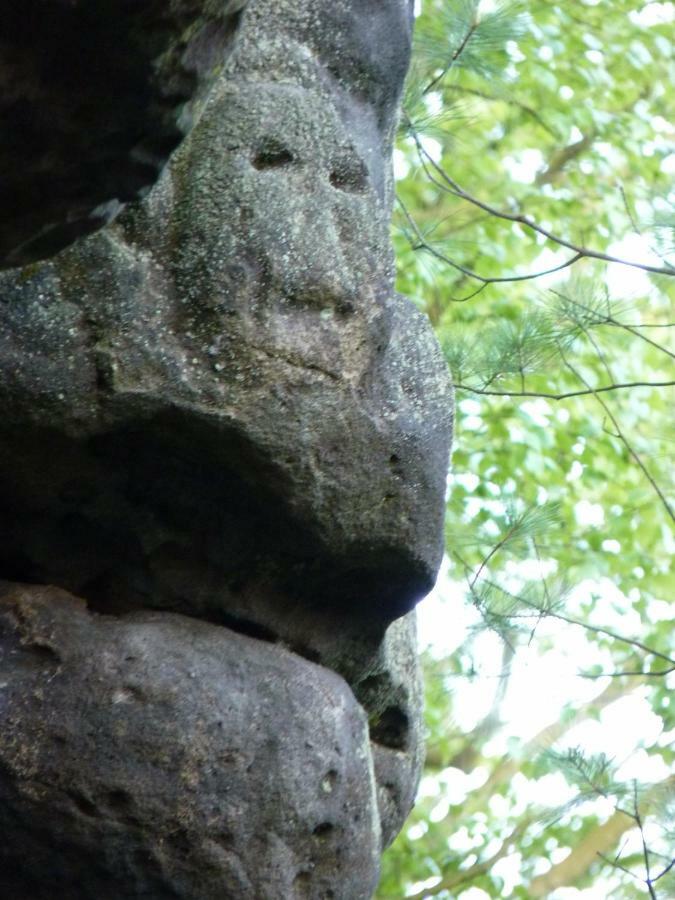 Ein Platz Fuer Ruhe Und Naturgenuss Sebnitz Exteriör bild