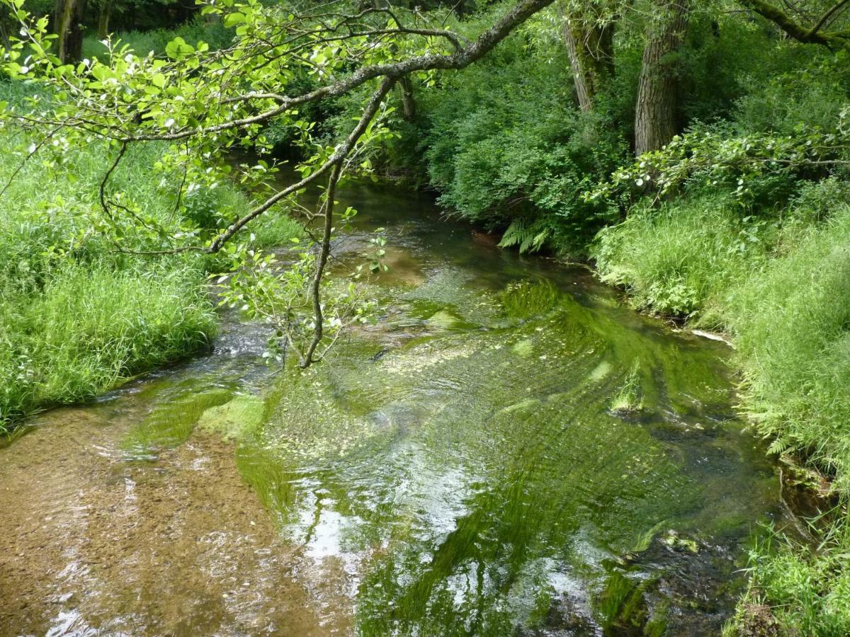 Ein Platz Fuer Ruhe Und Naturgenuss Sebnitz Exteriör bild
