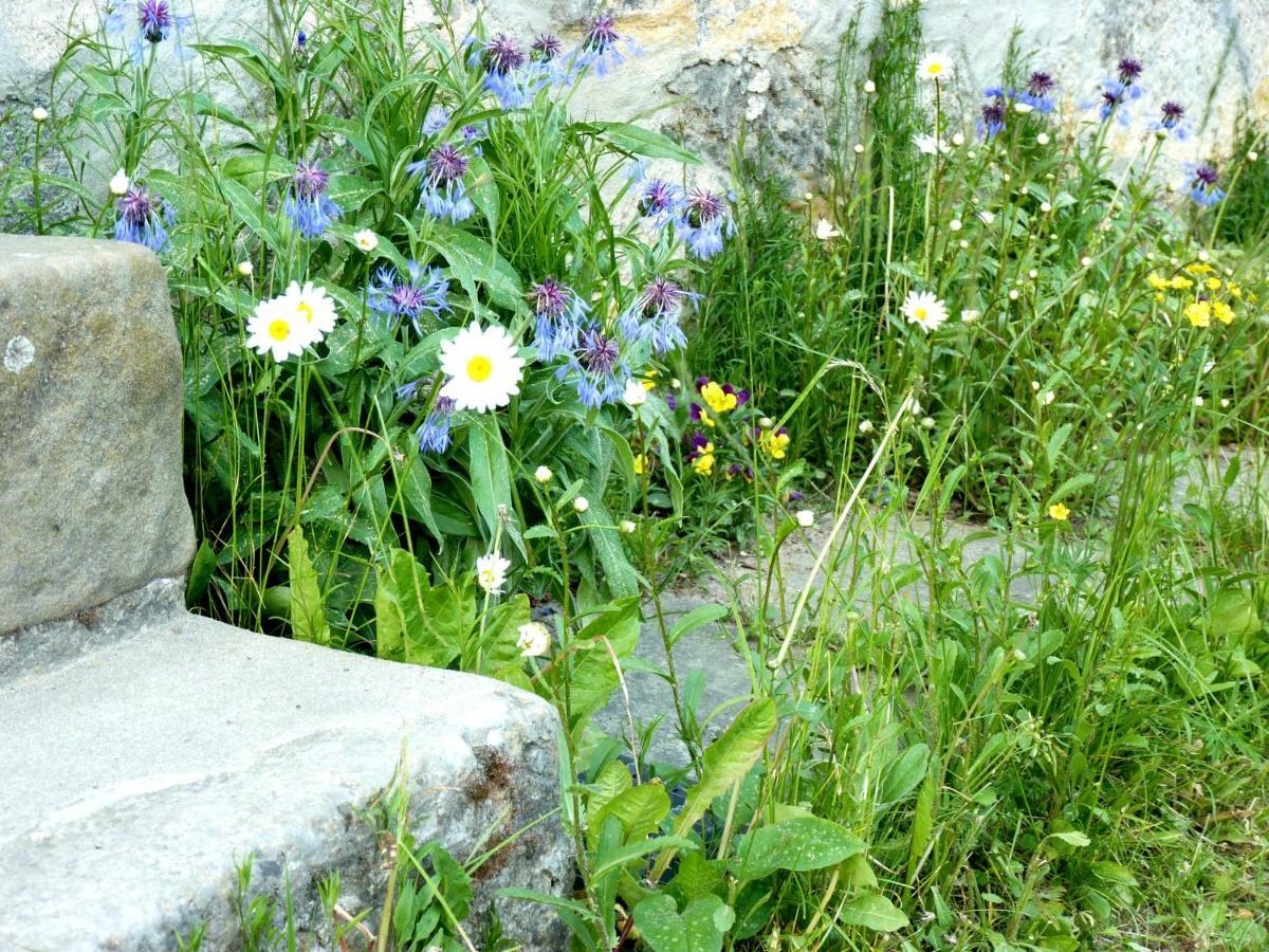 Ein Platz Fuer Ruhe Und Naturgenuss Sebnitz Exteriör bild